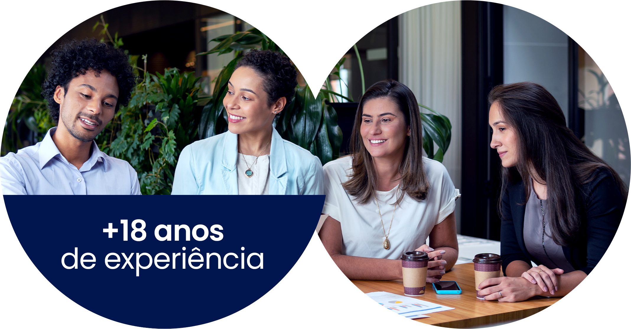 +18 anos de experiência